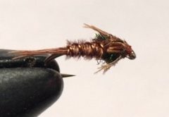 Pheasant Tail Nymph