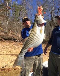 Brent Carson from Sandy Springs, GA with a huge 40 pounder fishing with Capt David Hare