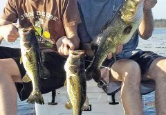 Ben & Alan Bechon from MI caught these nice bass with FishTallahassee