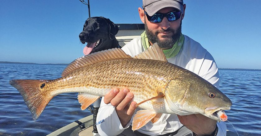Capt. Jarret Johnson caught this stud redfish on the new Rapala Skitter V while fishing with me and Murphy dog in St. Joe Bay.