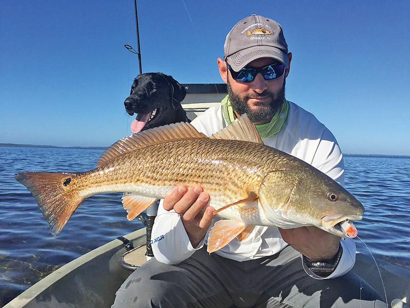 Capt. Jarret Johnson caught this stud redfish on the new Rapala Skitter V while fishing with me and Murphy dog in St. Joe Bay.