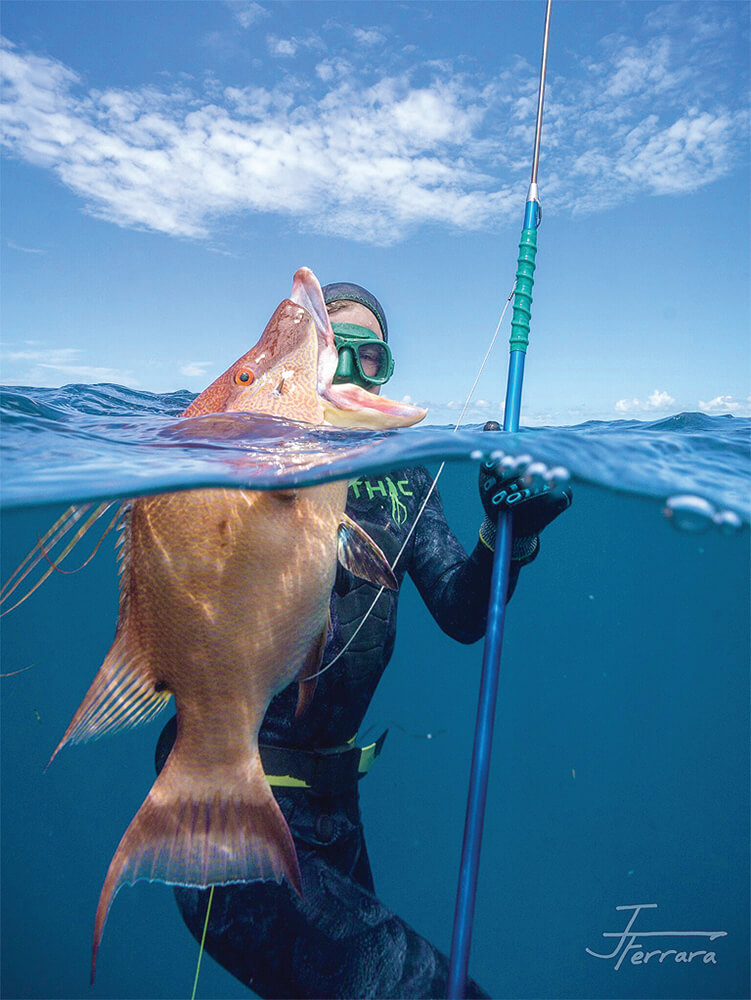 Under The Sea – Slings and Polearms - Coastal Angler & The Angler