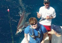 thresher shark