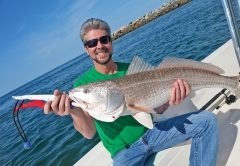Steve with a nice bull red
