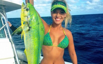 Inshore and Offshore Fishing - Wish For Fish