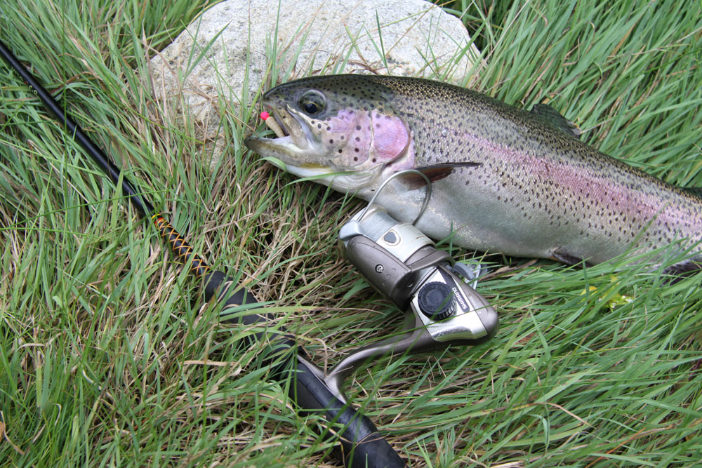 Outdoors: Trophy trout - Alabama Living Magazine