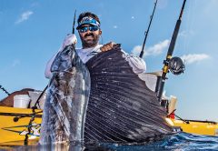 Sailfish Smackdown