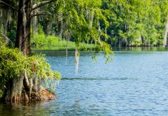Lake Blackshear