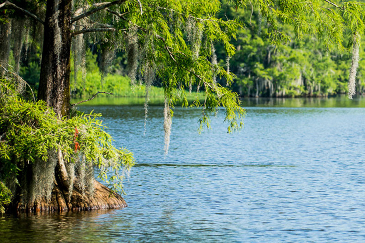 Lake Blackshear