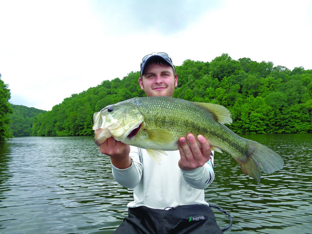Fish the Shad Spawn for Big Bass! - Coastal Angler & The Angler Magazine