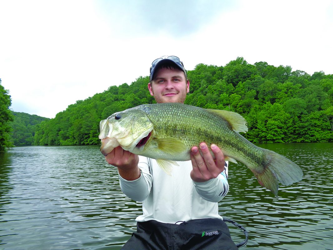 Fish the Shad Spawn for Big Bass! - Coastal Angler & The Angler