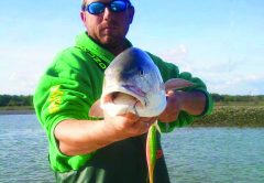 Soft plastics rigged on weighted hooks get into the strike zone quicker and pay big rewards