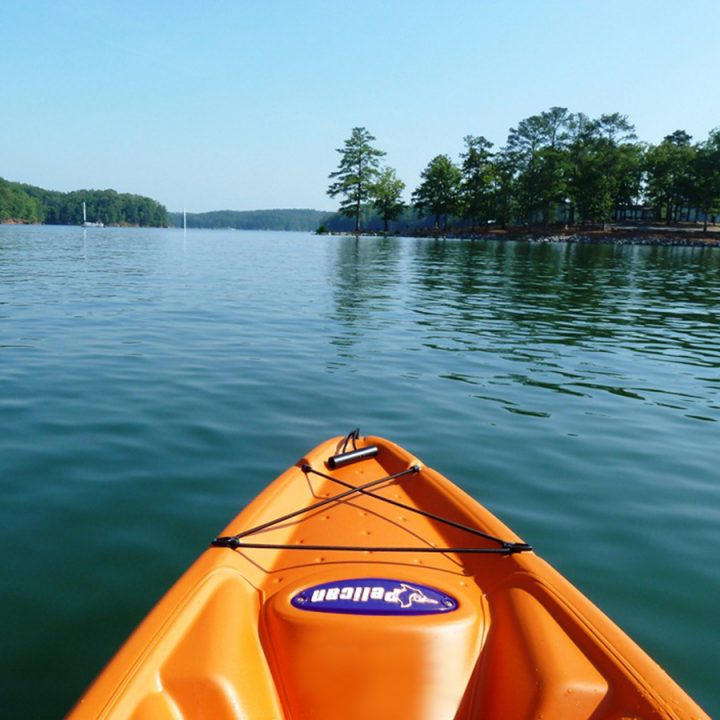 Lake Allatoona Coastal Angler & The Angler Magazine