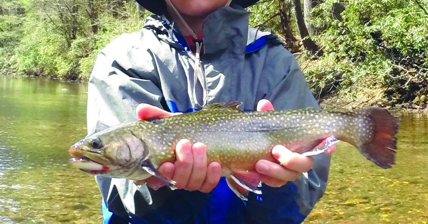 Bennett Mahon caught this beautiful brook trout on his first fly fishing trip on the Chattooga