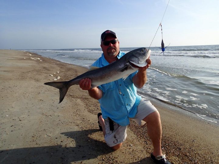 A Great Rig for Bluefish on Shackleford Banks 