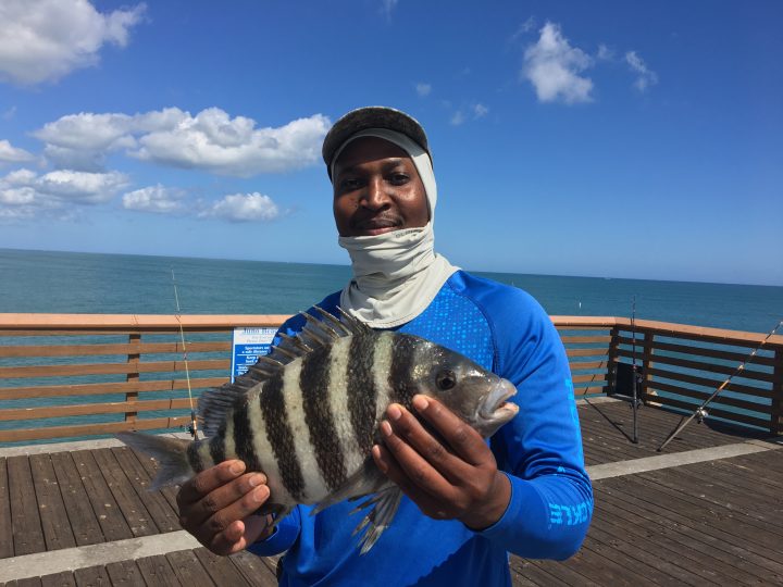 Juno Beach Pier Fishing - Coastal Angler & The Angler Magazine