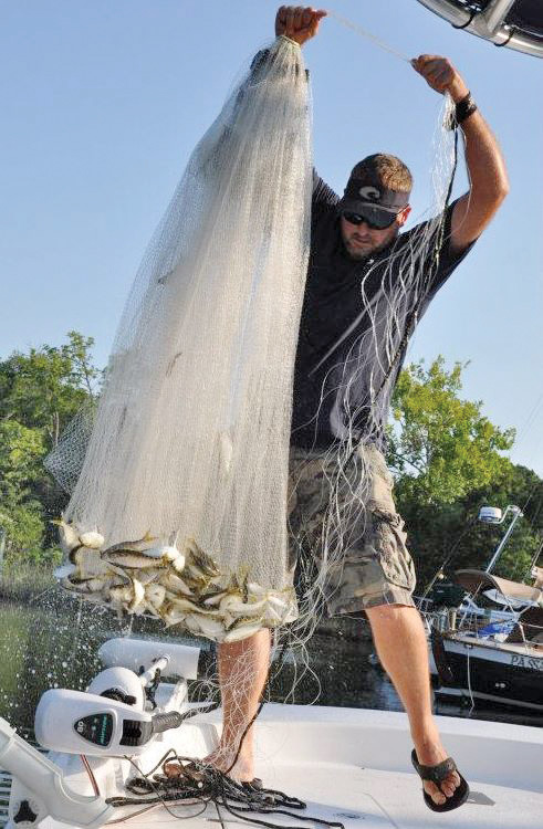 Capt Jason starting the day right with a net full