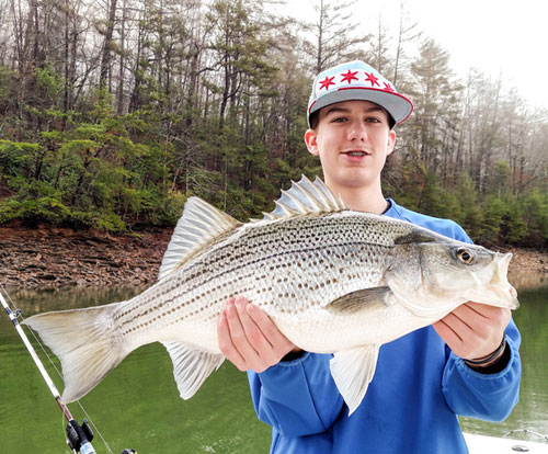 Lake Chatuge Bass Tournament To Benefit Veterans – Georgia Outdoor News