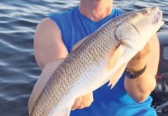 Dave Bright of Panama City with a nice redfish