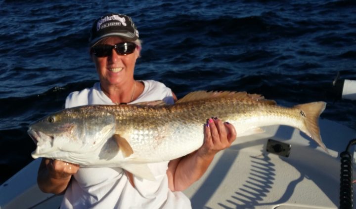 First Bull Drum - Coastal Angler & The Angler Magazine