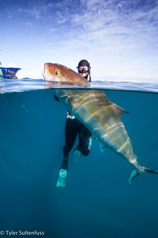 Spearfishing Course for Freedivers Coastal Angler & The Angler Magazine