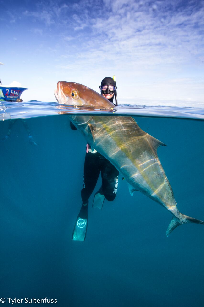 Spearfishing Course for Freedivers Coastal Angler The Angler Magazine