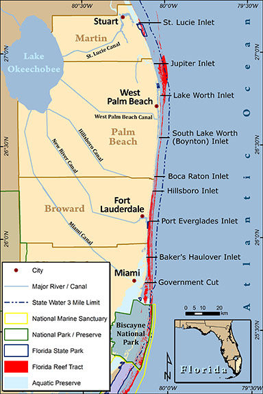 Coral Reefs  Martin County Florida