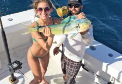 This photo proves that the color green catches dolphin.