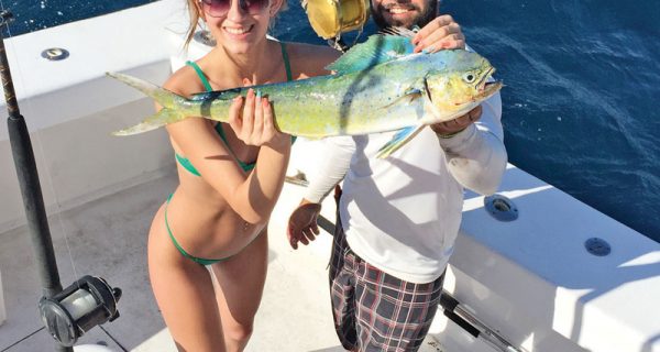 This photo proves that the color green catches dolphin.