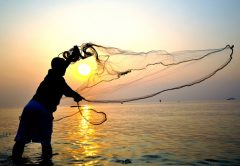 cast netting for bait