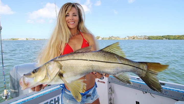 Fishing The Palm Beaches With Darcizzle – April 2017 - Coastal Angler & The Angler  Magazine