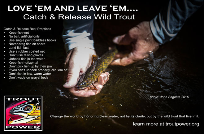 Your Brook Trout Heritage - Coastal Angler & The Angler Magazine