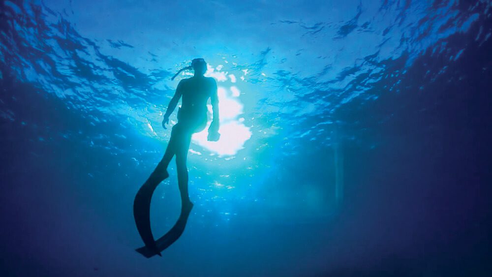 Surviving Freediver Blackout Coastal Angler & The Angler Magazine