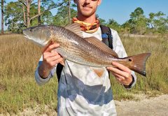Chris Rushing caught this nice Goose Bayou red on a copper Aqua dream spoon.
