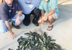 Cliff Straughn, Paul Tyre and Nic Jeter with a nice mess of Shellcracker.