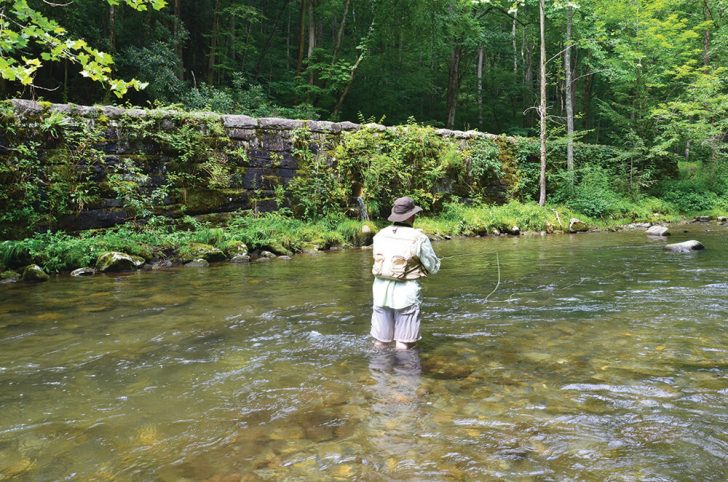 Trout Fishing North Carolina's Oconaluftee River - Coastal Angler & The  Angler Magazine