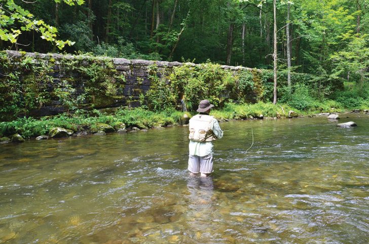 Trout Fishing North Carolina's Oconaluftee River - Coastal Angler