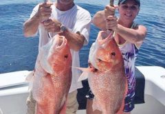Mike and Stephanie Hobbs of Panama City with some big snapper