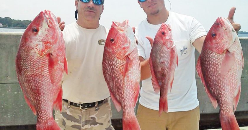 Ricky and Nick Gatlin got their limit in the bay with Capt. Jason.