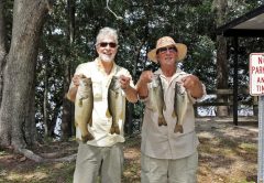 Tim and Dr. Doug with some nice bass caught on Talquin with a spinnerbait