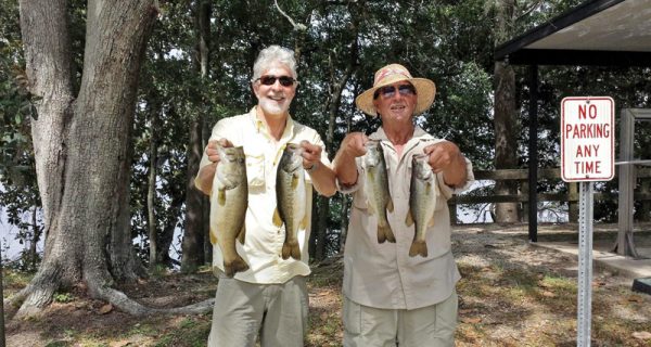 Tim and Dr. Doug with some nice bass caught on Talquin with a spinnerbait