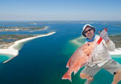 panama city, florida - red snapper dreamland