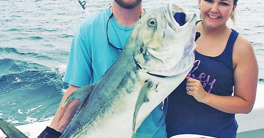 Monster jack crevalle caught on an inshore trip with Fishing Headquarters.