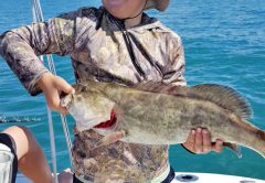 Ethan Meadows caught this 28" Gag Grouper in South of Carrabelle, FL