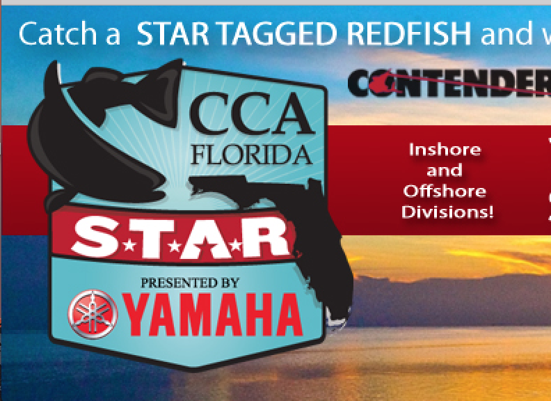 CCA STAR Tournament, by Capt. Mike Anderson Coastal Angler & The