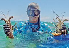 Capt Chad with a few spiny lobsters.