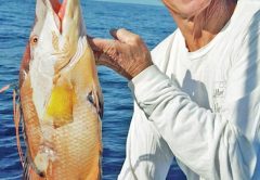 Capt. Chad and his elusive hogfish