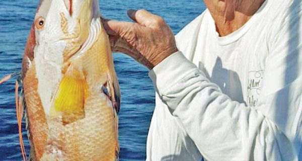 Capt. Chad and his elusive hogfish