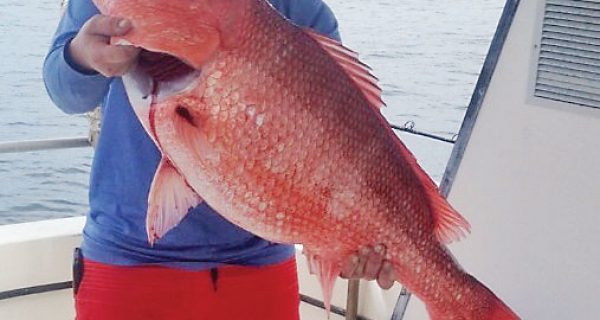 Clifford Knight of Panama City with a big sow snapper.