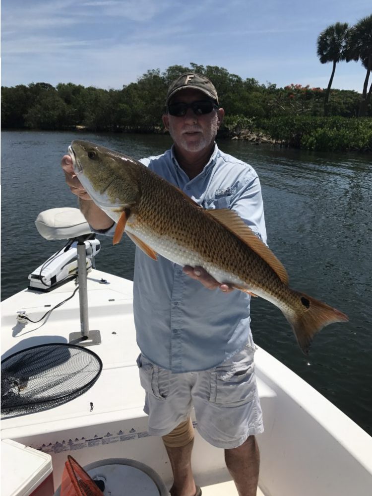 Second fish of the day IRL in the Pineda area | Coastal Angler & The ...